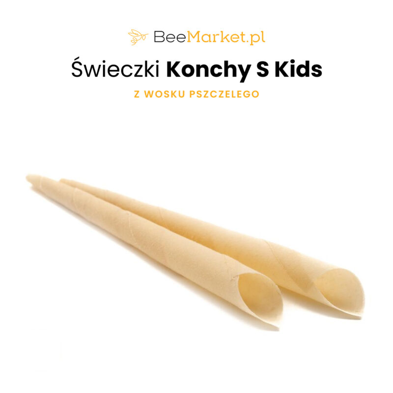 Świece Konchy S - Kids - 22 cm. 1